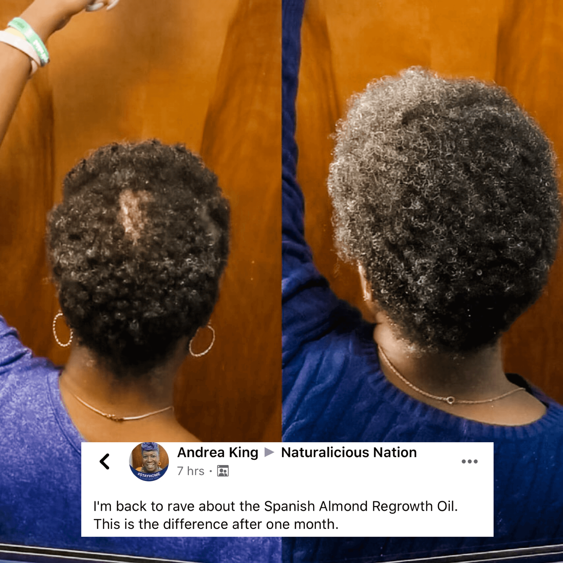 Spanish Almond Regrowth Oil